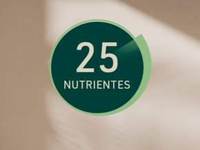 25 nutrientes