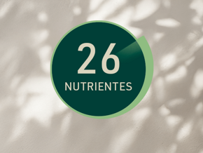 26 nutrientes